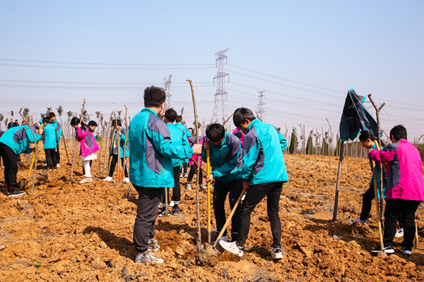 “攜手植樹(shù)，共創(chuàng)藍(lán)天”丨南京新華師生共筑新華育才林