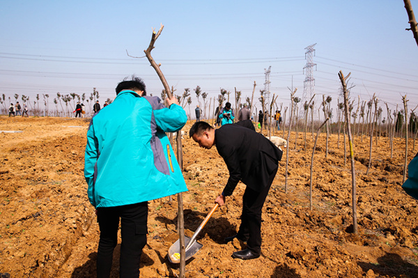 “攜手植樹(shù)，共創(chuàng)藍(lán)天”丨南京新華師生共筑新華育才林